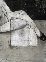 ©2013 Joyce McCarten