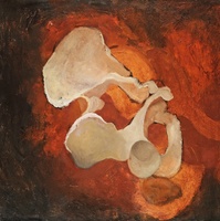 ©2022 Joyce McCarten