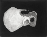 ©2022 Joyce McCarten
